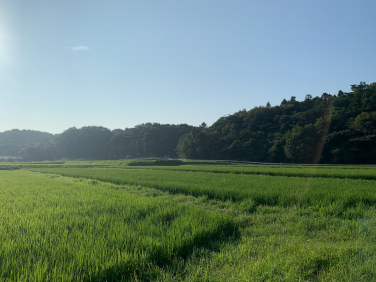 風景 スポット あらかわプレス